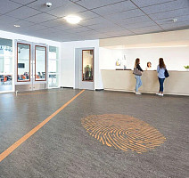 Forbo Marmoleum Decibel 304835 graphite фото 2 | FLOORDEALER